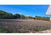 Terreno no urbanizable en venta en la España, Ciutadella de Menorca, ref: TR194794 foto