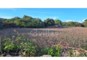 Terreno no urbanizable en venta en la España, Ciutadella de Menorca, ref: TR194794 foto