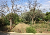 Chalet independiente con terreno en venta en la España, Encinarejo de Córdoba, ref: TR150840 foto