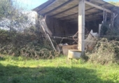 Casa de pueblo en venta en la España, Carballo, ref: TR387208 foto