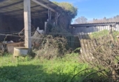 Casa de pueblo en venta en la España, Carballo, ref: TR387208 foto