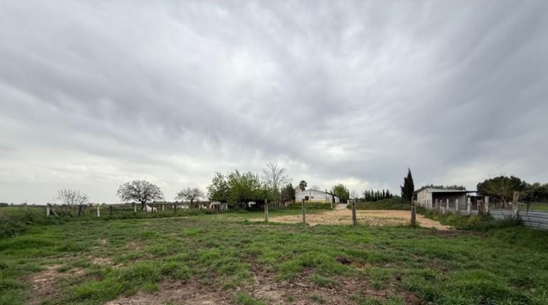 Sevilla - Pilas - 284m2