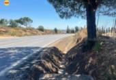 Terreno no urbanizable en venta en la España, Lepe, ref: TR410770 foto