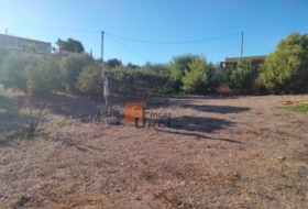 Águilas 2985&nbsp;m²