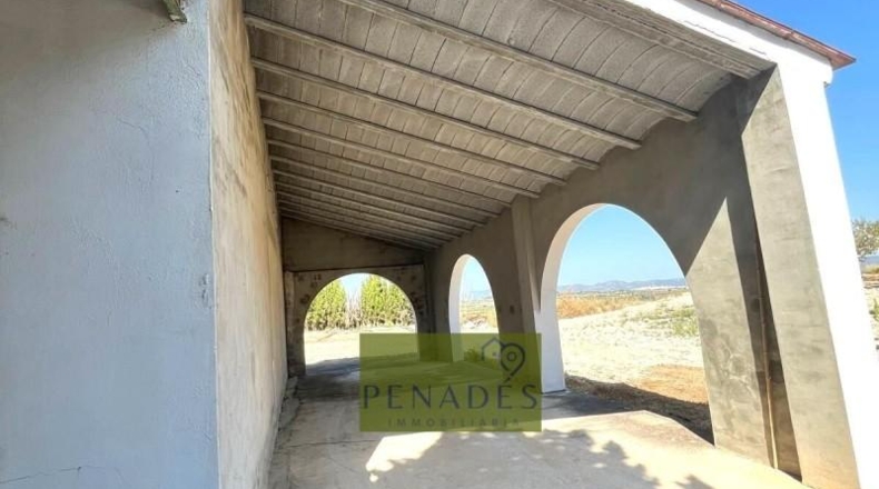 Valencia - Bélgida - 32083m2