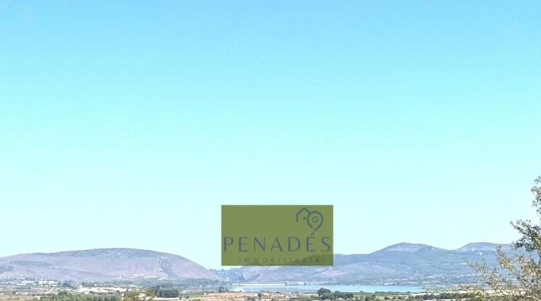 Valencia - Bélgida - 32083m2