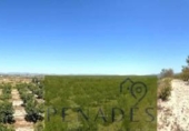Casa de campo con terreno en venta en la España, Bèlgida, ref: TR321144 foto