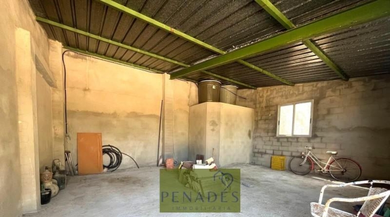 Valencia - Bélgida - 32083m2