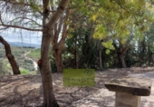Casa de campo con terreno en venta en la España, Bèlgida, ref: TR321144 foto