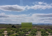 Casa de campo con terreno en venta en la España, Bèlgida, ref: TR321144 foto