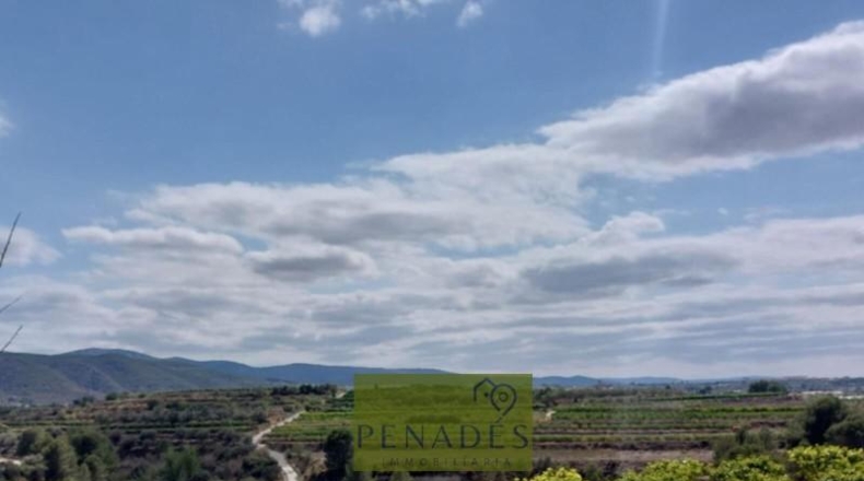 Valencia - Bélgida - 32083m2
