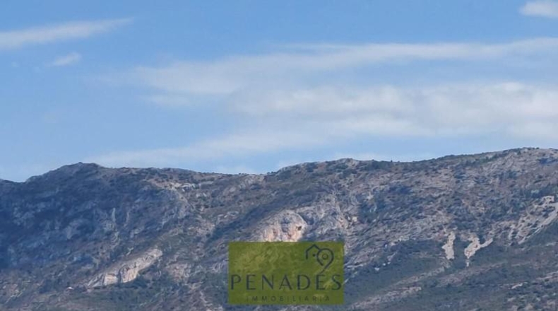 Valencia - Bélgida - 32083m2