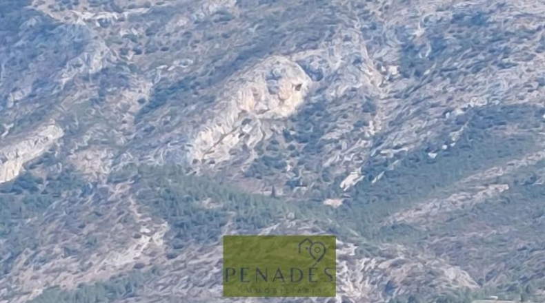 Valencia - Bélgida - 32083m2