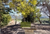 Casa de campo con terreno en venta en la España, Bèlgida, ref: TR321144 foto