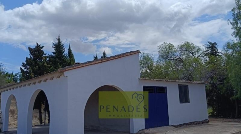Valencia - Bélgida - 32083m2