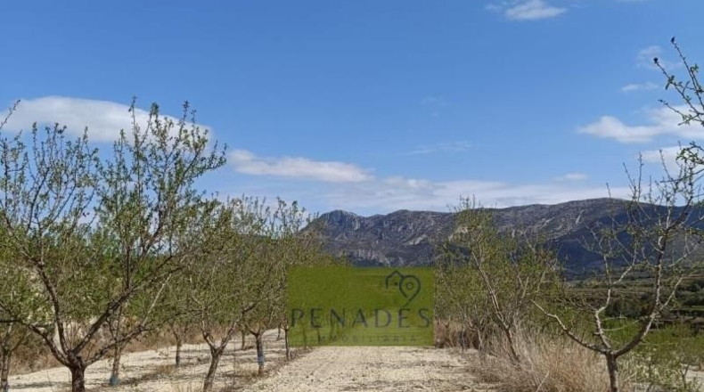 Valencia - Bélgida - 32083m2