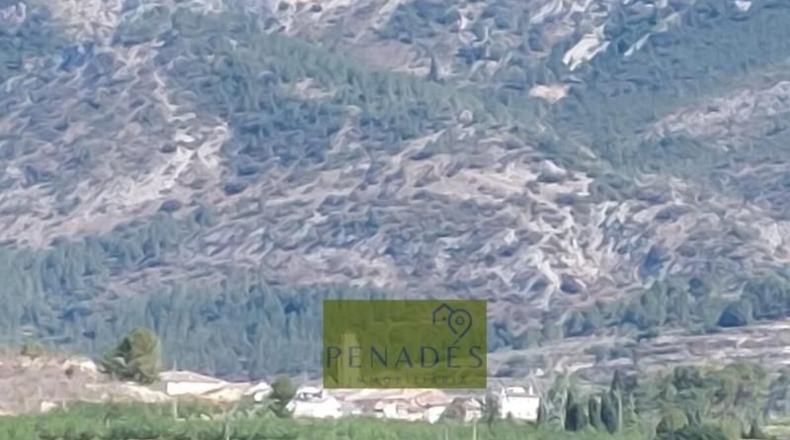 Valencia - Bélgida - 32083m2