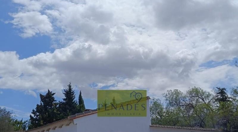 Valencia - Bélgida - 32083m2