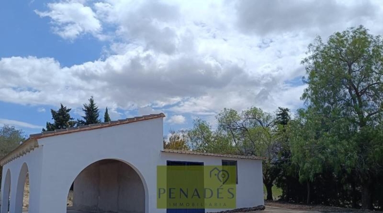 Valencia - Bélgida - 32083m2