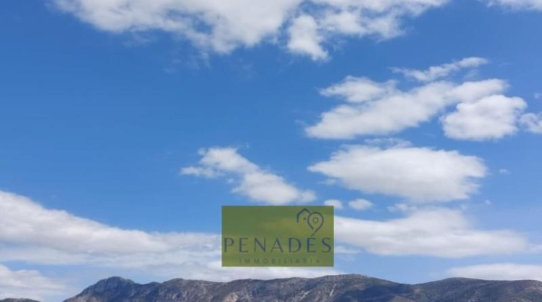 Valencia - Bélgida - 32083m2