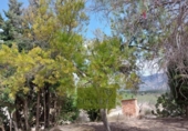 Casa de campo con terreno en venta en la España, Bèlgida, ref: TR321144 foto