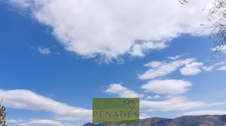 Valencia - Bélgida - 32083m2