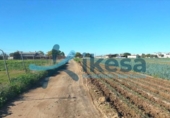 Terreno no urbanizable en venta en la España, Sevilla, ref: TR271199 foto