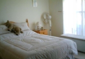 Village house for sale on España, Caravaca de la Cruz, ref: TR301566 photo