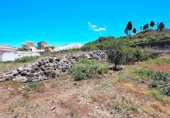 Casa de campo con terreno en venta en la España, Icod de los Vinos, ref: TR144010 foto