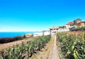 Casa de campo con terreno en venta en la España, Icod de los Vinos, ref: TR144010 foto