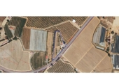 Terreno no urbanizable en venta en la España, Lepe, ref: TR406445 foto