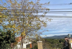 Fogars de la Selva 770&nbsp;m² 