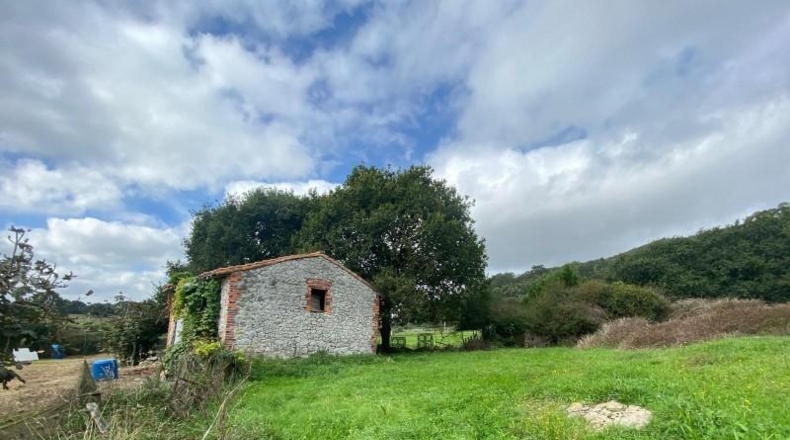 Cantabria - Argoños - 15843m2
