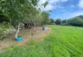 Country house with land for sale on España, Argoños, ref: TR176868 photo