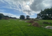 Country house with land for sale on España, Argoños, ref: TR176868 photo