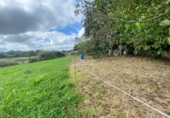 Country house with land for sale on España, Argoños, ref: TR176868 photo
