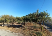 Country house with land for sale on España, Puerto Lumbreras, ref: TR155292 photo