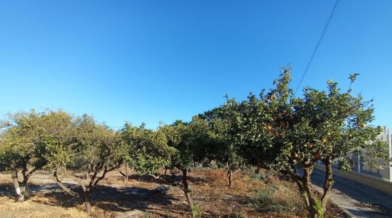 Murcia - Puerto Lumbreras - 700m2