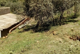 Foto 13