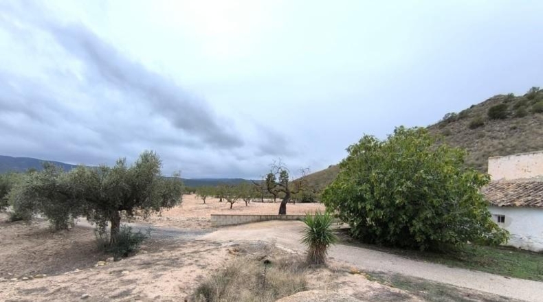 Alicante - Villena - 24900m2