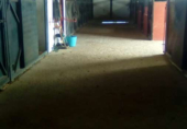Chalet independiente con terreno en venta en la España, Pilas, ref: TR366494 foto