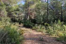 Vandellòs 18027&nbsp;m²