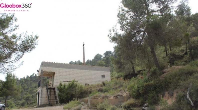 Tarragona - Blancafort - 230000m2