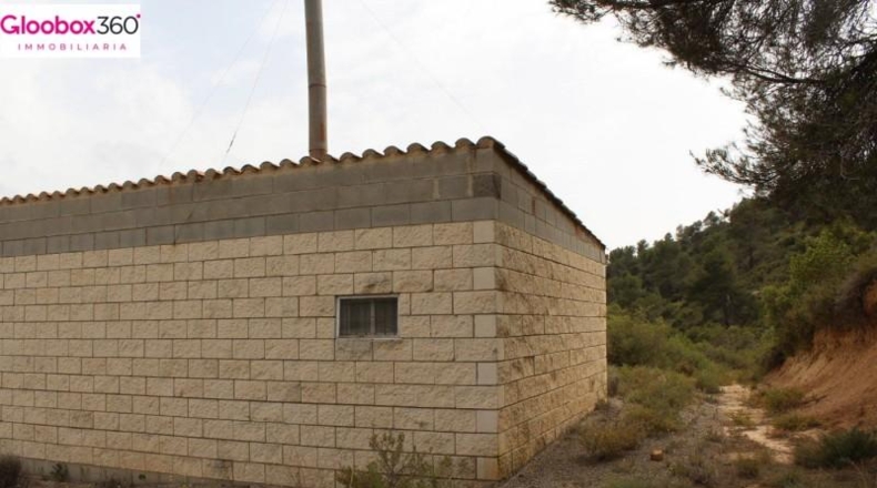 Tarragona - Blancafort - 230000m2