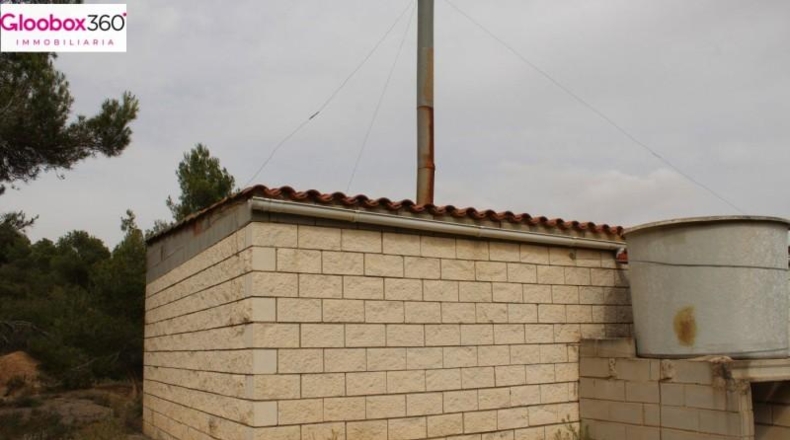 Tarragona - Blancafort - 230000m2