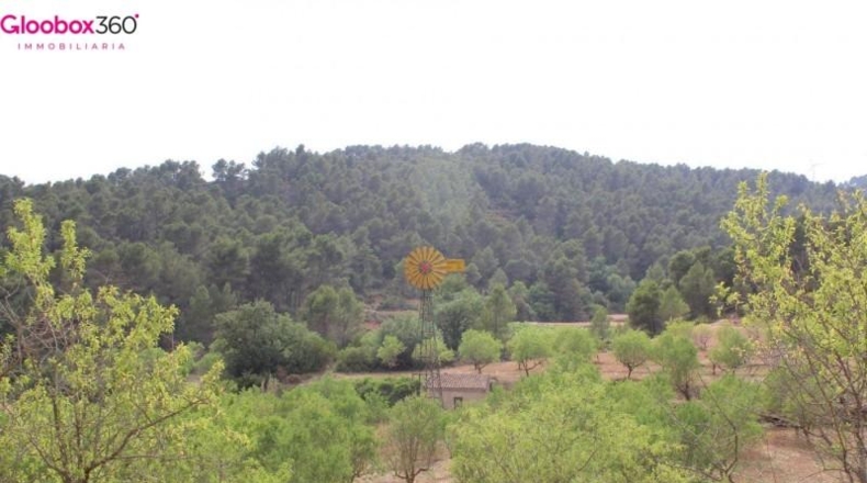 Tarragona - Blancafort - 230000m2