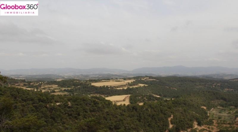 Tarragona - Blancafort - 230000m2
