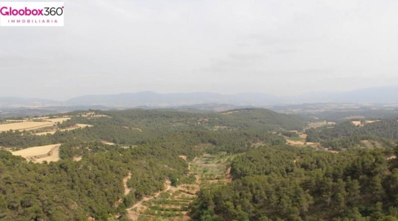Tarragona - Blancafort - 230000m2