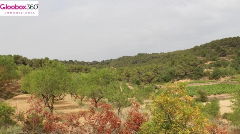 Tarragona - Blancafort - 230000m2
