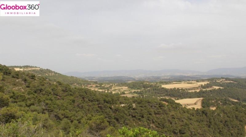 Tarragona - Blancafort - 230000m2